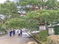 兼六園の写真・動画_image_489575
