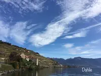 リヴァーズの写真・動画_image_489674
