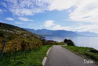 Chexbres Villageの写真・動画_image_489683