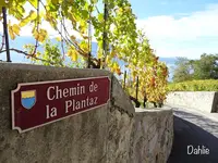 Chexbres Villageの写真・動画_image_489691