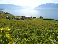 Chexbres Villageの写真・動画_image_489692