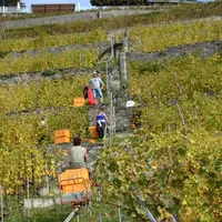 Chexbres Villageの写真・動画_image_489694
