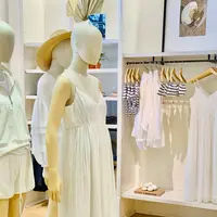 Club Monacoの写真・動画_image_489703