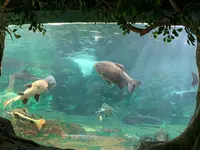 新屋島水族館の写真・動画_image_489732