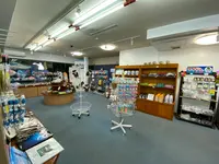 新屋島水族館の写真・動画_image_489733