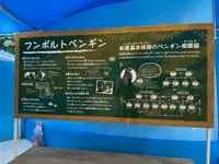 新屋島水族館の写真・動画_image_489734
