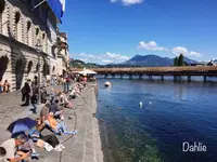 Altstadtの写真・動画_image_490414