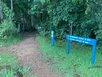 Binna Burra Lodgeの写真・動画_image_490438