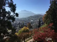 Zytturmの写真・動画_image_490742