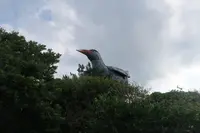 ヤンバルクイナ展望台の写真・動画_image_490754