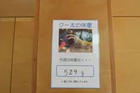 やヤンバルクイナ生態展示学習施設の写真・動画_image_490767