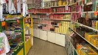 ブラジリアンパーク　鷲羽山ハイランドの写真・動画_image_490840