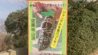 ブラジリアンパーク　鷲羽山ハイランドの写真・動画_image_490849