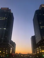 東京駅の写真・動画_image_490924