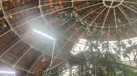 熱帯大ドームの写真・動画_image_491341