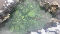 西の河原公園の写真・動画_image_491356