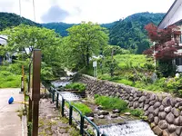 そば処 しんばしの写真・動画_image_491568