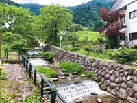 そば処 しんばしの写真・動画_image_491569