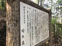 天覧山の写真・動画_image_491593