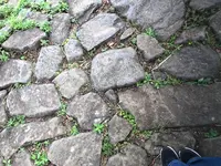 石岳展望台の写真・動画_image_491652