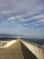 湘南港灯台の写真・動画_image_492240