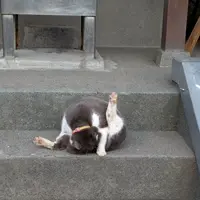 聖天島公園の写真・動画_image_492247