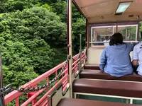 黒部峡谷トロッコ電車の写真・動画_image_492313