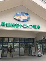 黒部峡谷トロッコ電車の写真・動画_image_492314