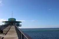 フィッシュアイの写真・動画_image_492513