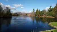 ウィットリー・コート・アンド・ガーデンズの写真・動画_image_492551