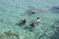 フィッシュアイの写真・動画_image_492593