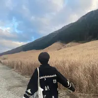 仙石原すすき草原の写真・動画_image_492713