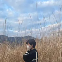 仙石原すすき草原の写真・動画_image_492714