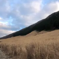 仙石原すすき草原の写真・動画_image_492715