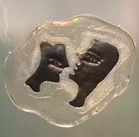 箱根ガラスの森美術館の写真・動画_image_492729