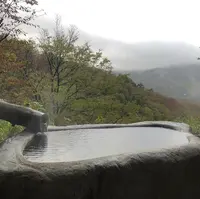 コージーインペンション箱根の山の写真・動画_image_492734