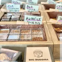 marcoの写真・動画_image_492866