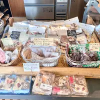 marcoの写真・動画_image_492867