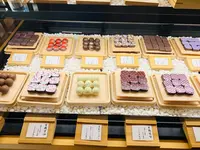 カカオ果の写真・動画_image_492885