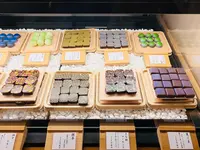 カカオ果の写真・動画_image_492886