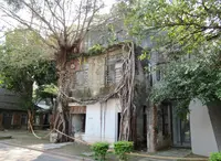 舊事生活 Old & Crazyの写真・動画_image_492920