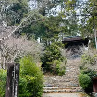 神護寺の写真・動画_image_493133