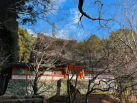 神護寺の写真・動画_image_493148