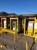 玉子サンド研究所の写真・動画_image_493410