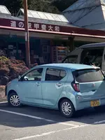 道の駅甲斐大和の写真・動画_image_493464