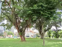 和平青草園の写真・動画_image_493950