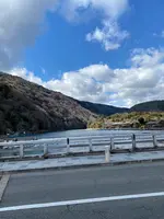 渡月橋の写真・動画_image_494163