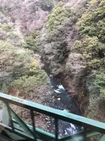 箱根登山鉄道沿線の写真・動画_image_494359