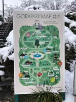 箱根強羅公園の写真・動画_image_494365