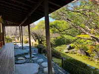 城南宮の写真・動画_image_494641